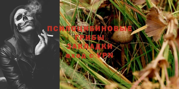 герыч Иннополис