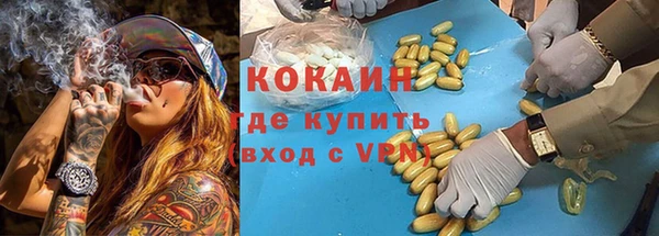 mdpv Инта