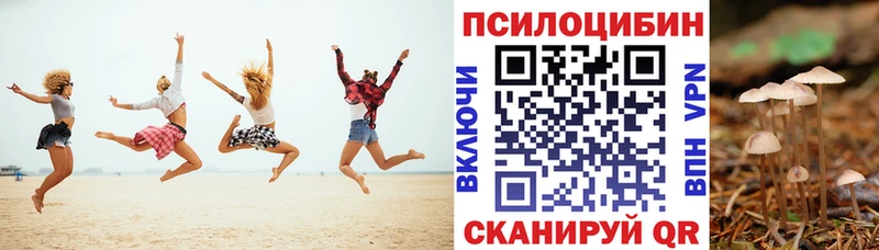 Купить Почеп Псилоцибиновые грибы GOLDEN TEACHER